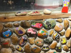 -猫咪博物馆(顶澳仔猫街店)