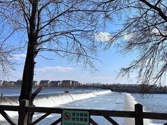 -沈阳鸟岛