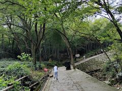 -北仑森林植物园