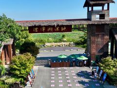 -泗洪洪泽湖湿地景区