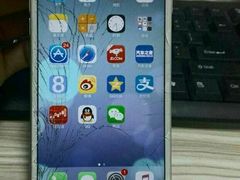 -Apple Store苹果手机电脑售后维修中心(浦东店)