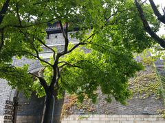 -虞山城墙
