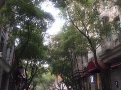 -黎黄陂路街头博物馆