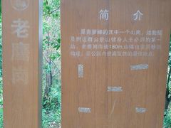 -滴水岩森林公园