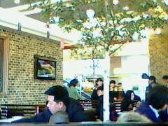-米斯特比萨(光华桥凯德MALL天津湾店)