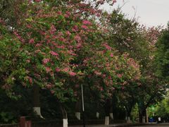 -水濂山森林公园