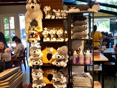 -TrueLove @ Neverland (Husky Cafe)