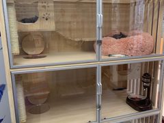 -小小班私人影院·猫咖(万达茂广场店)