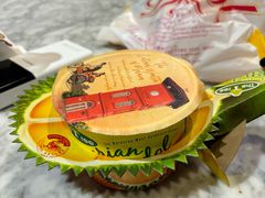 -马六甲鸡场街