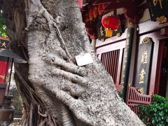 -叩齿古寺