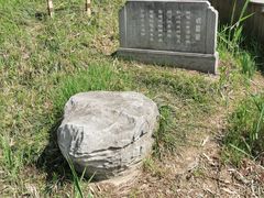 -苏州太湖湖滨国家湿地公园
