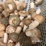 云南美味的的菌子火锅