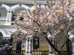 -湖南省立第一师范学校旧址