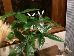 -古耳咖啡(北锣店)