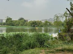 -WhaleSports户外水上运动俱乐部(朝阳公园店)