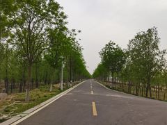 -潇河湿地公园