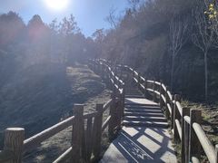 -白水寺森林公园
