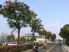 -江南蟹壳皇(新民桥店)