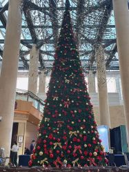 -上海浦东喜来登由由大酒店·宴会厅