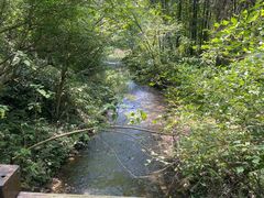 -桤木河湿地公园