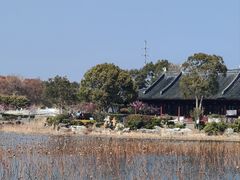 -上海海湾国家森林公园