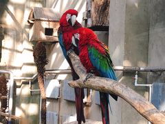 -大连森林动物园