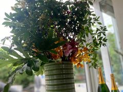 -蝶舍·MAISON PAPILLON