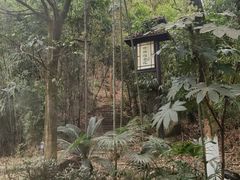 -明月山天沐温泉度假村