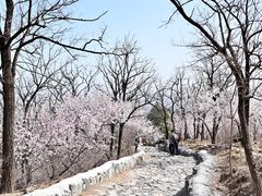 -阳台山自然风景区