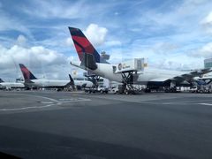 -约翰·菲茨杰拉德·肯尼迪国际机场