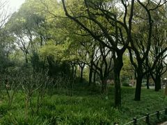 -共青国家森林公园-售票处
