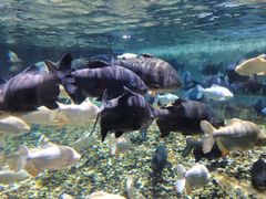 -成都浩海立方海洋公园