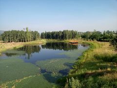 -棒棒鸡传奇(解放路店)