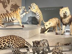 -国家自然博物馆