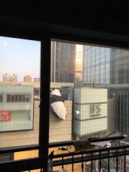 -刺客纹画纹身·洗纹身·穿孔饰品