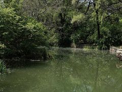 -石家庄市动物园