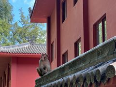 -黔灵山公园