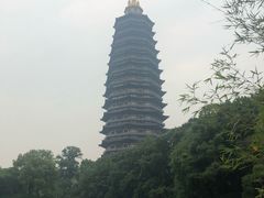 -听松楼·花园酒店·自助餐厅(红梅公园店)