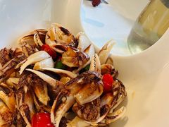 -开海·红岛海鲜虾水饺(石老人店)