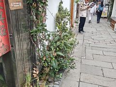 -暮晚尘香汉服旗袍