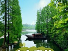 -尚湖风景区
