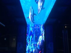 -至尊鲨鱼·原烹海鲜·新浙菜(拱宸桥店)