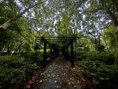 -上海共青森林公园