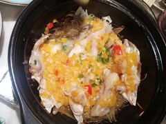 沙窝黄椒鱼头-陶陶居酒家(海岸城店)
