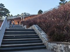 -白石龙音乐公园