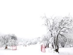 -太子岭滑雪场