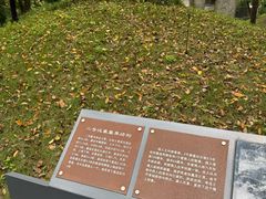-马王堆汉墓遗址