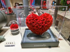 -ROSEONLY诺誓(青岛万象城店)