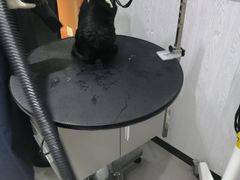 -宠颐生动物医院·小陆分院