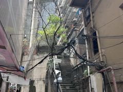 -白象居
